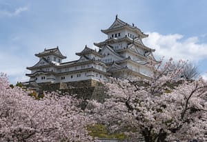 heritage-Giappone-sakura